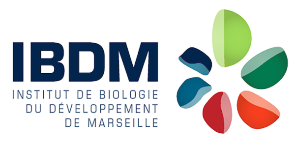 Lire la suite à propos de l’article Protégé : Assistant ingénieur Marseille Luminy